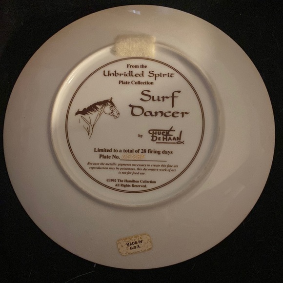 Unbridled spirit plate collection - surf dancer - Picture 1 of 2